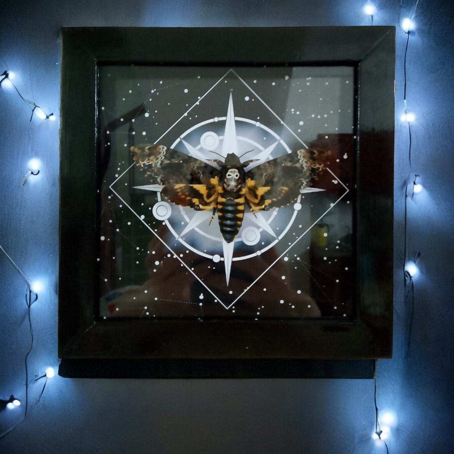 Vietnam Death's Head Moth Frame - Taxidermy Insect for Personalized Wall Decor Sales (in US)