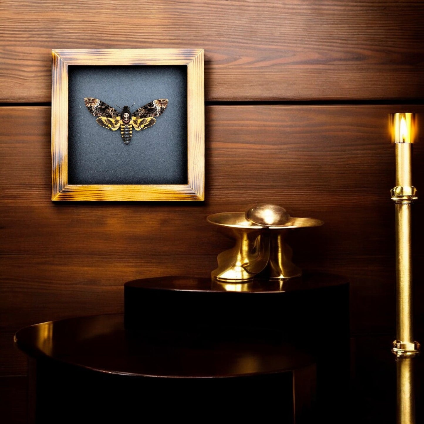 Real Death Head Moth - Decorative Insect Frame for Gothic Wall Decor, Unique Halloween Gift (in US)