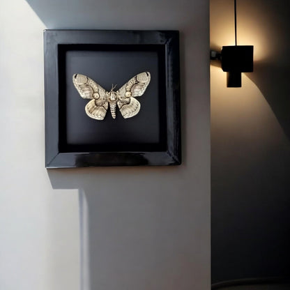 Vietnam Owl Moth Frame - Unique Handmade Insect Decor Gift for Friends (in US)