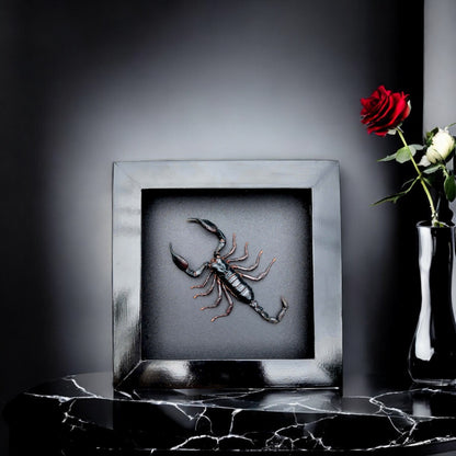 Real Scorpion Frame - Mysterious Insect Decor for Halloween Gothic Shadow Box, Unique Gift for Friend (in US)