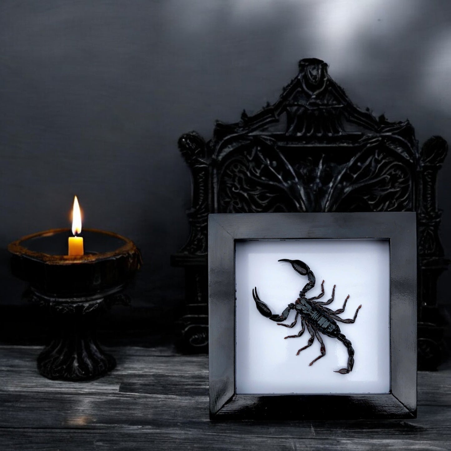 Real Black Scorpion Frame - Taxidermy Spooky Insect Art for Halloween Home Decor, Unique Gift (in US)