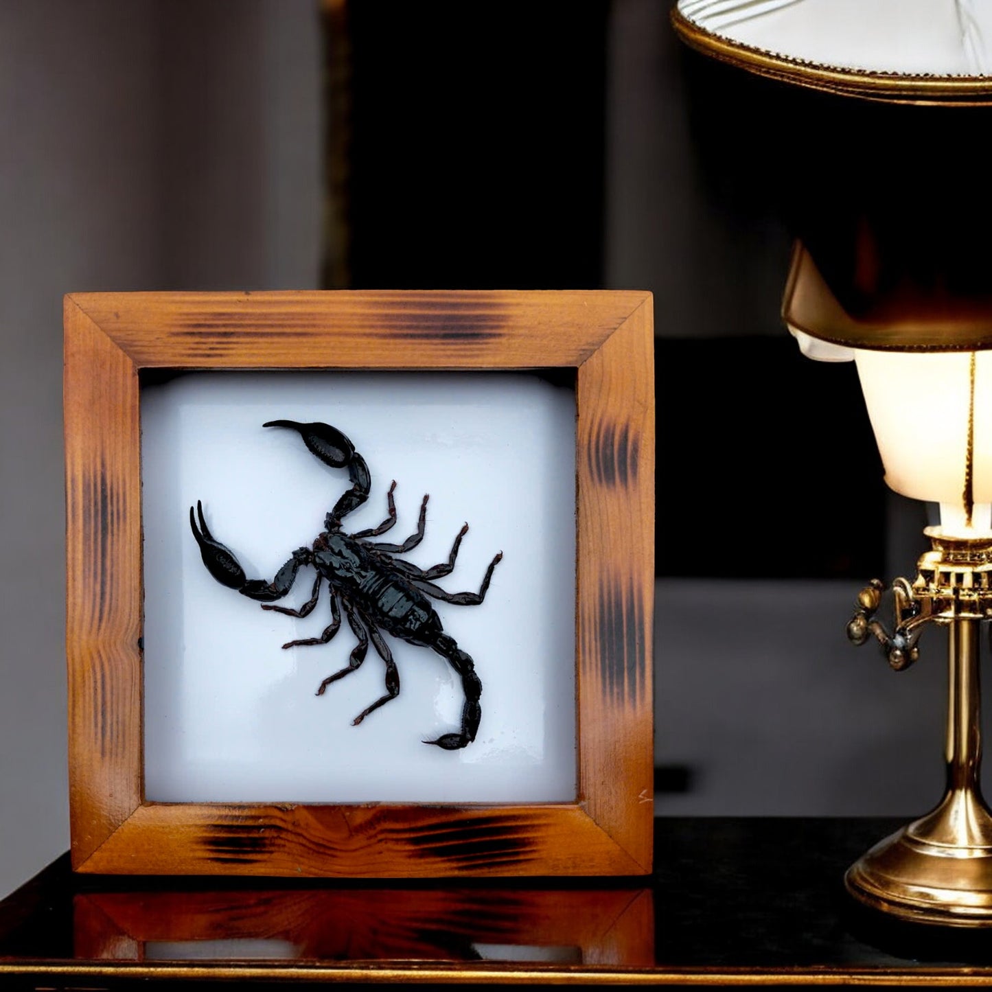 Real Vietnam Scorpion Frame - Handmade Taxidermy Insect Art for Oddity Home Decor (in US)