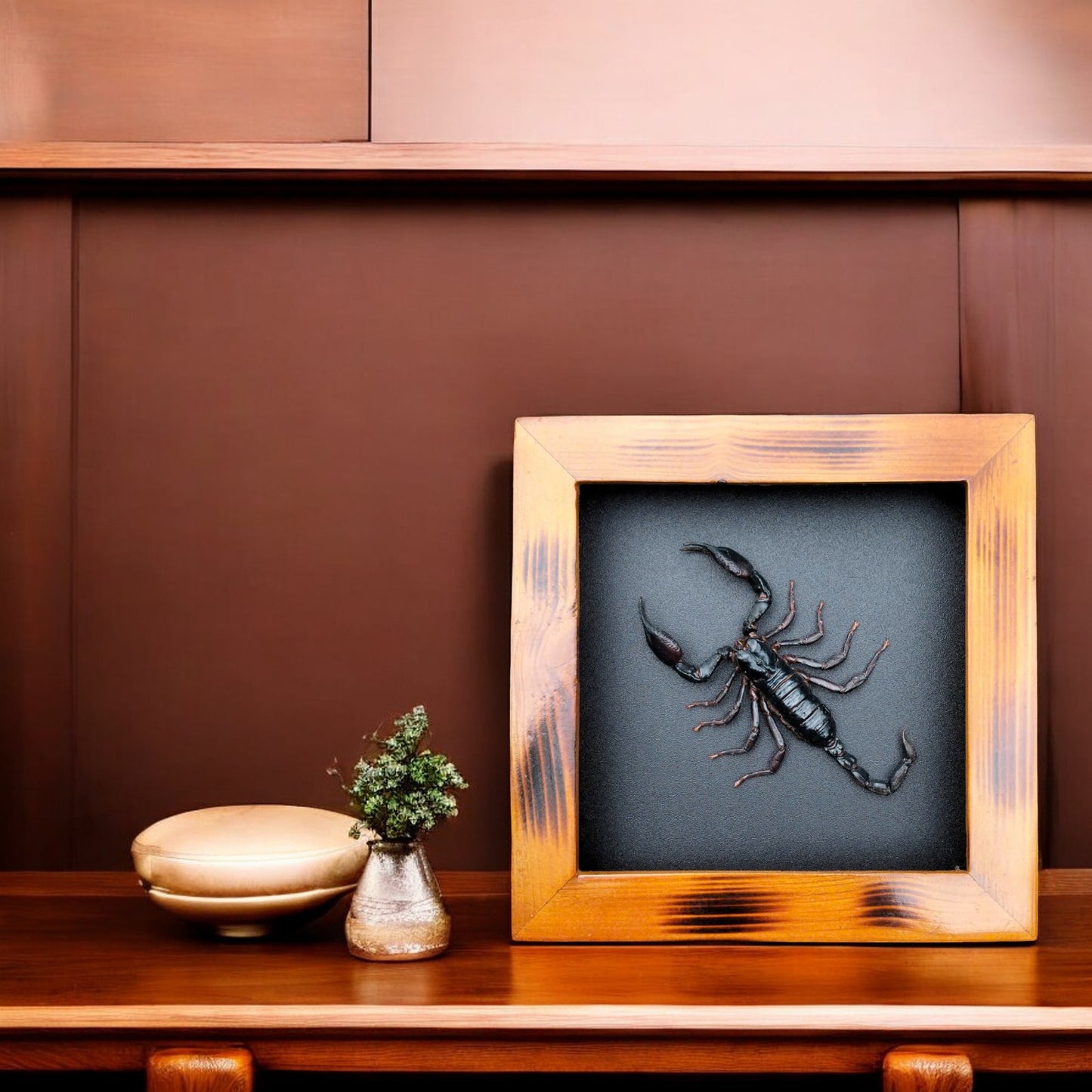 Real Halloween Black Scorpion - Framed Insect Taxidermy Curiosity  for Mysterious Home Decor (in US)