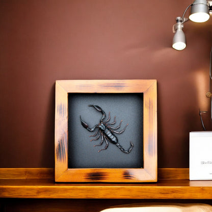 Real Halloween Black Scorpion - Framed Insect Taxidermy Curiosity  for Mysterious Home Decor (in US)