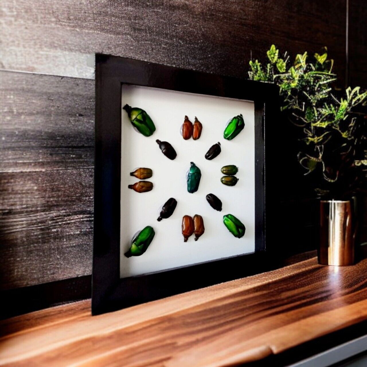 Vietnam Beetle Collection Wooden Frame - Minimalist Insect Decor for Colorful Bugs (in US)