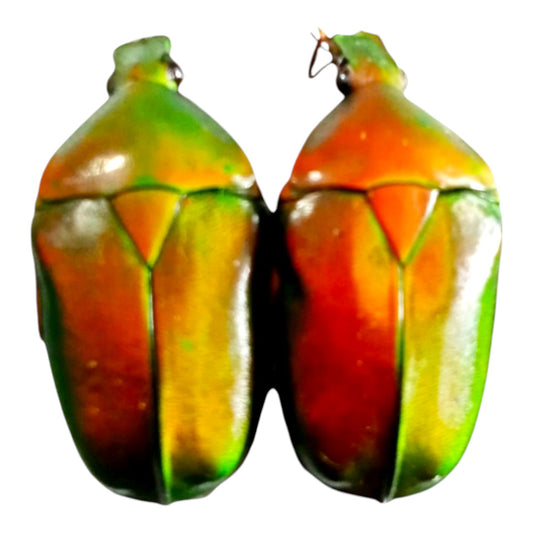 (in Vietnam) Pack of 02 pcs colorful Cetoniinae Rhomborrhina Vietnam. Artwork Crafts Unmouted insects.